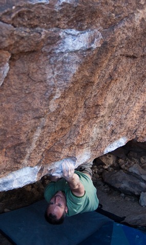 Long Haul (V8)