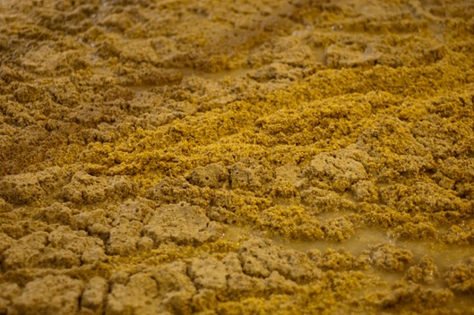 DSC_7717 DSC_7717