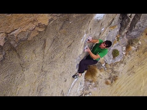 dayinhonnold