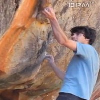 Video Of Paul Robinson’s Monkey Wedding (V15) Repeat Now Online